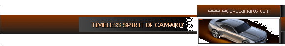 Timeless Spirit of Camaro